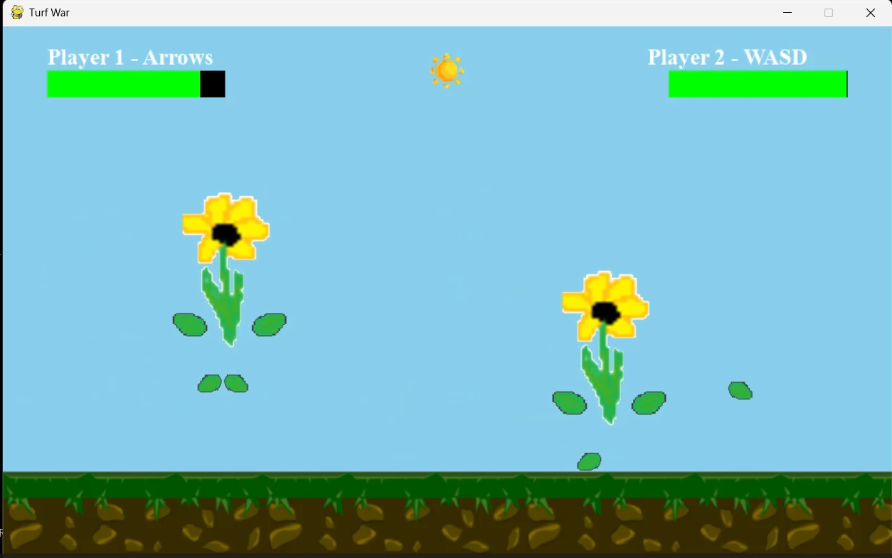 Turf War Fighting Game